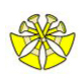 Deputy Chief